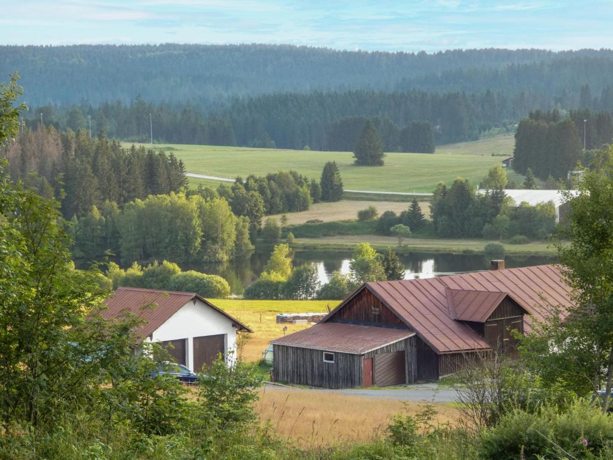 Apartment Hochstein Haidmühle Exterior foto